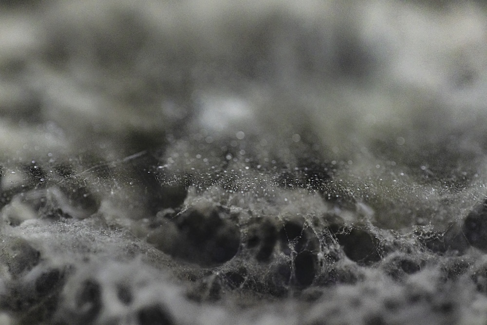 The Science of “Invisible” Humidity (Why Your AC Might Be a Breeding Ground for Mold )